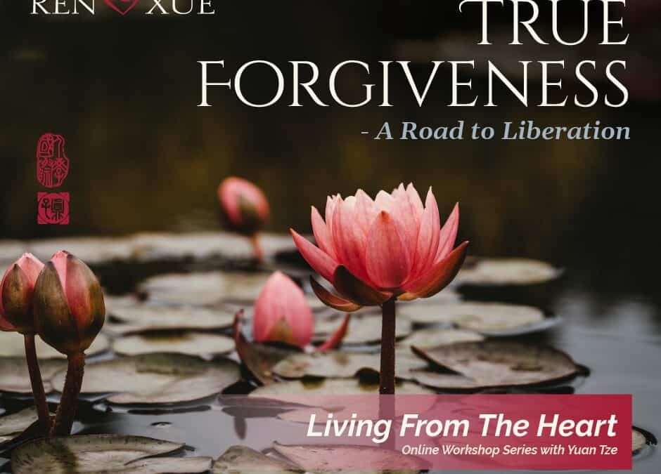 Living from the Heart – True Forgiveness